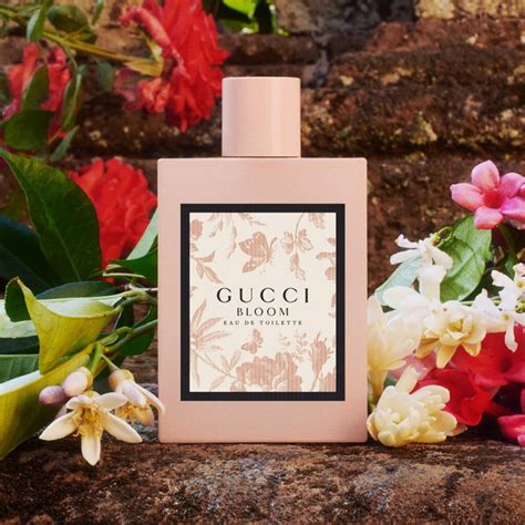 gucci bloom perfume canada|gucci bloom perfume smell.